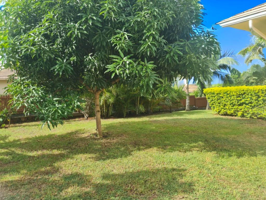 001056-garden.webp