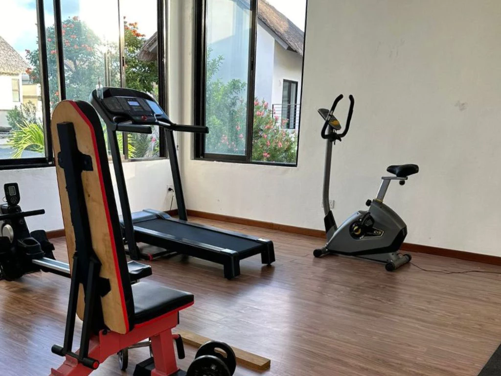 0101011-gym.webp